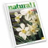 Natural 1 - Aprile 2005 (n°41)
