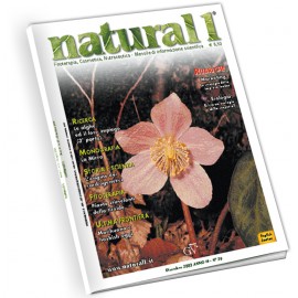 Natural 1 - Dicembre 2003 (n°28)